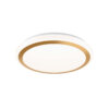 CFG13-CC - Plafonnier Rond de 13" – Image 3