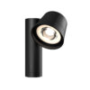 DCP-SPT6 - 6" RGB+CCT Spot Light Pro