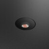 DSWC07-CC-V - 7" Multi-Voltage DarkSky Wall Sconce - Image 5