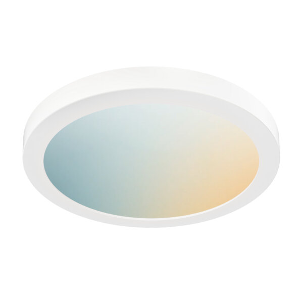 12" smart flush mount