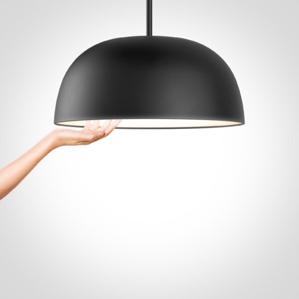 20" 2-in-1 flush mount and pendant - Image 5