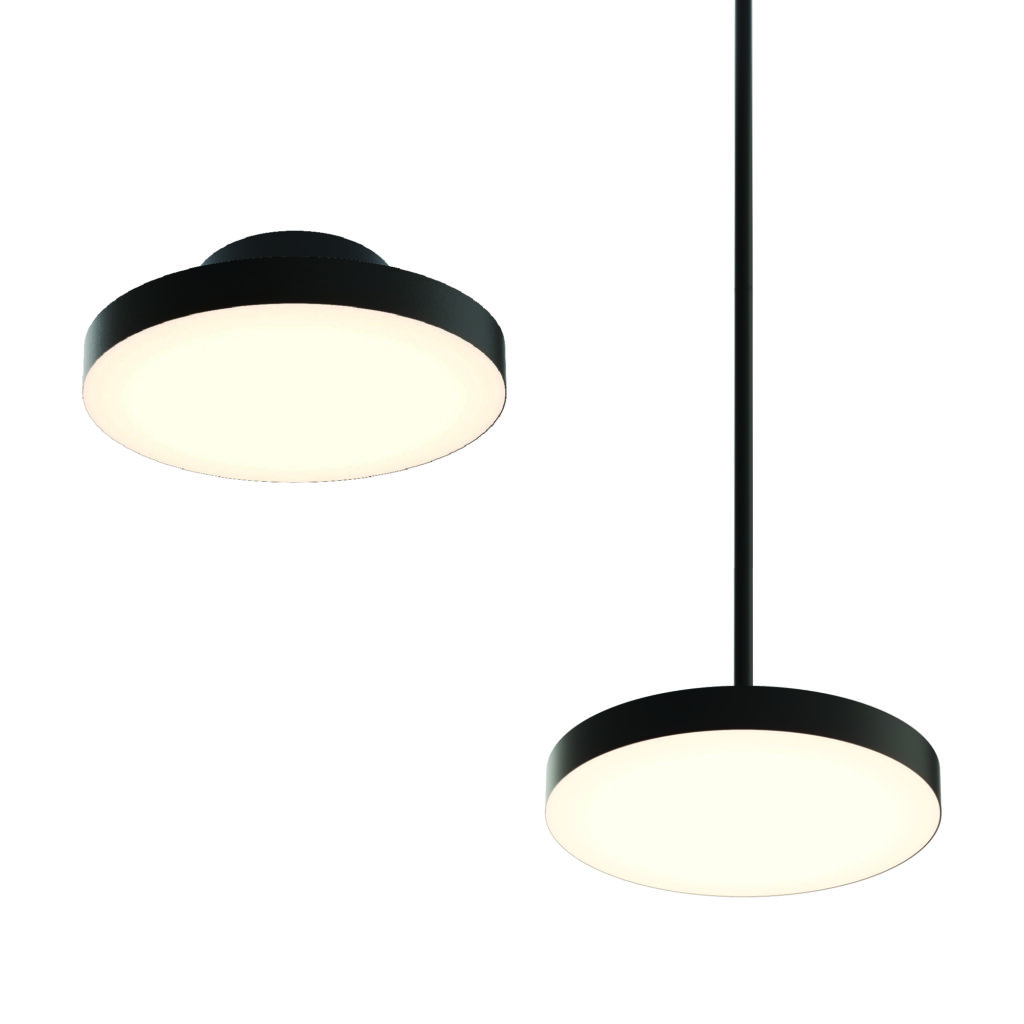 12" 2-in-1 Pendant and flush mount