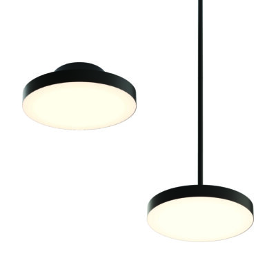 12" 2-in-1 Pendant and flush mount