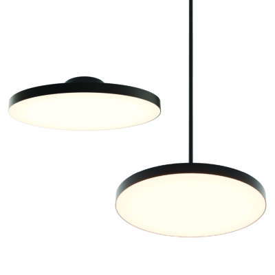 21" 2-in-1 Pendant and flush mount